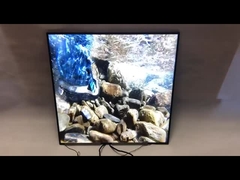 Marke ursprüngliches BOE 33 Quadrat Zoll Quadrat LCD-Platten-420Nits 1920*1920, das Anzeige annonciert